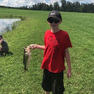 Meet your Posher, Cole